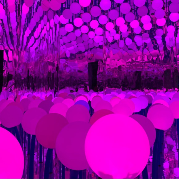 Meet your Posher, Jasmine - Picture 1 of 1